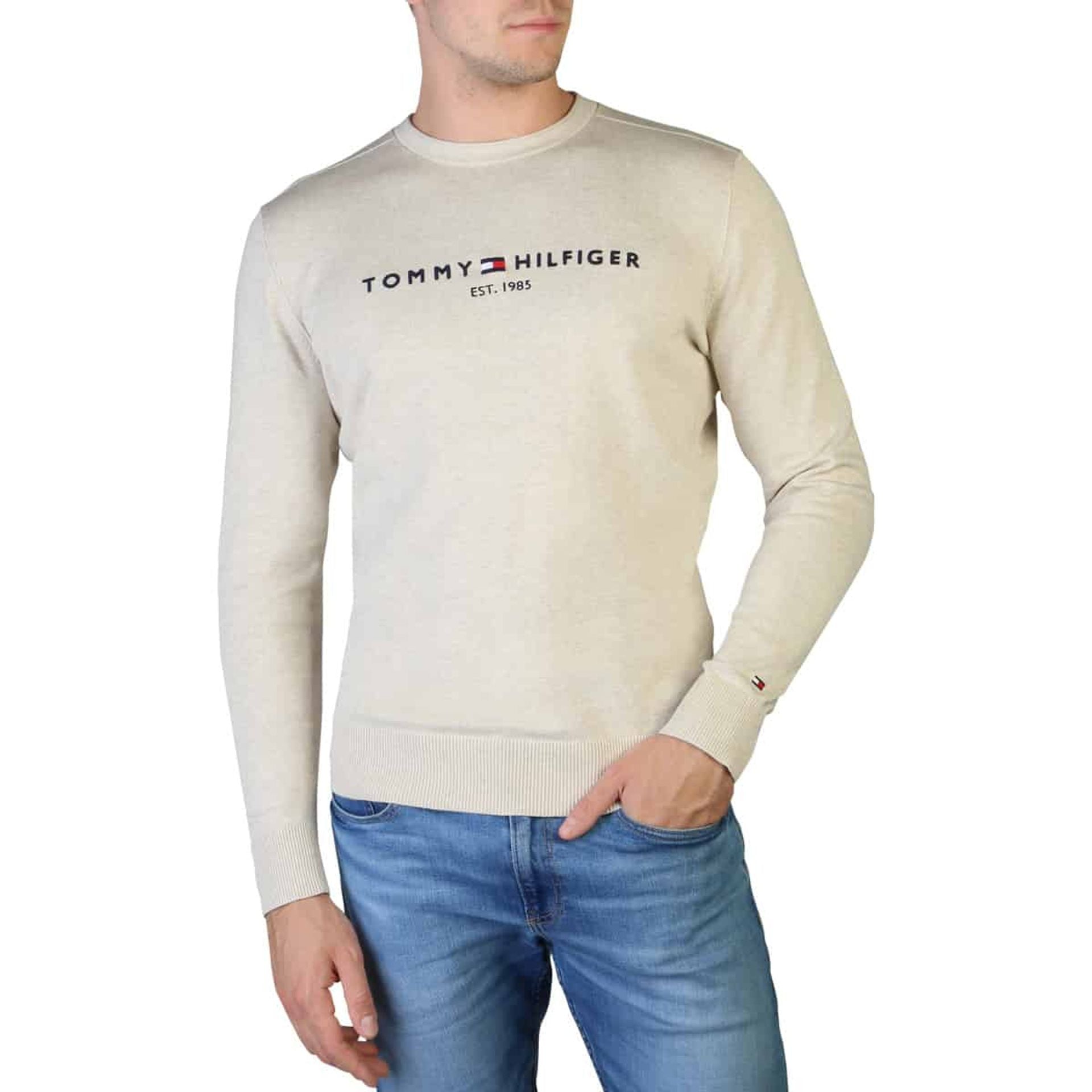 Tommy Hilfiger Sweatshirts - Fizigo